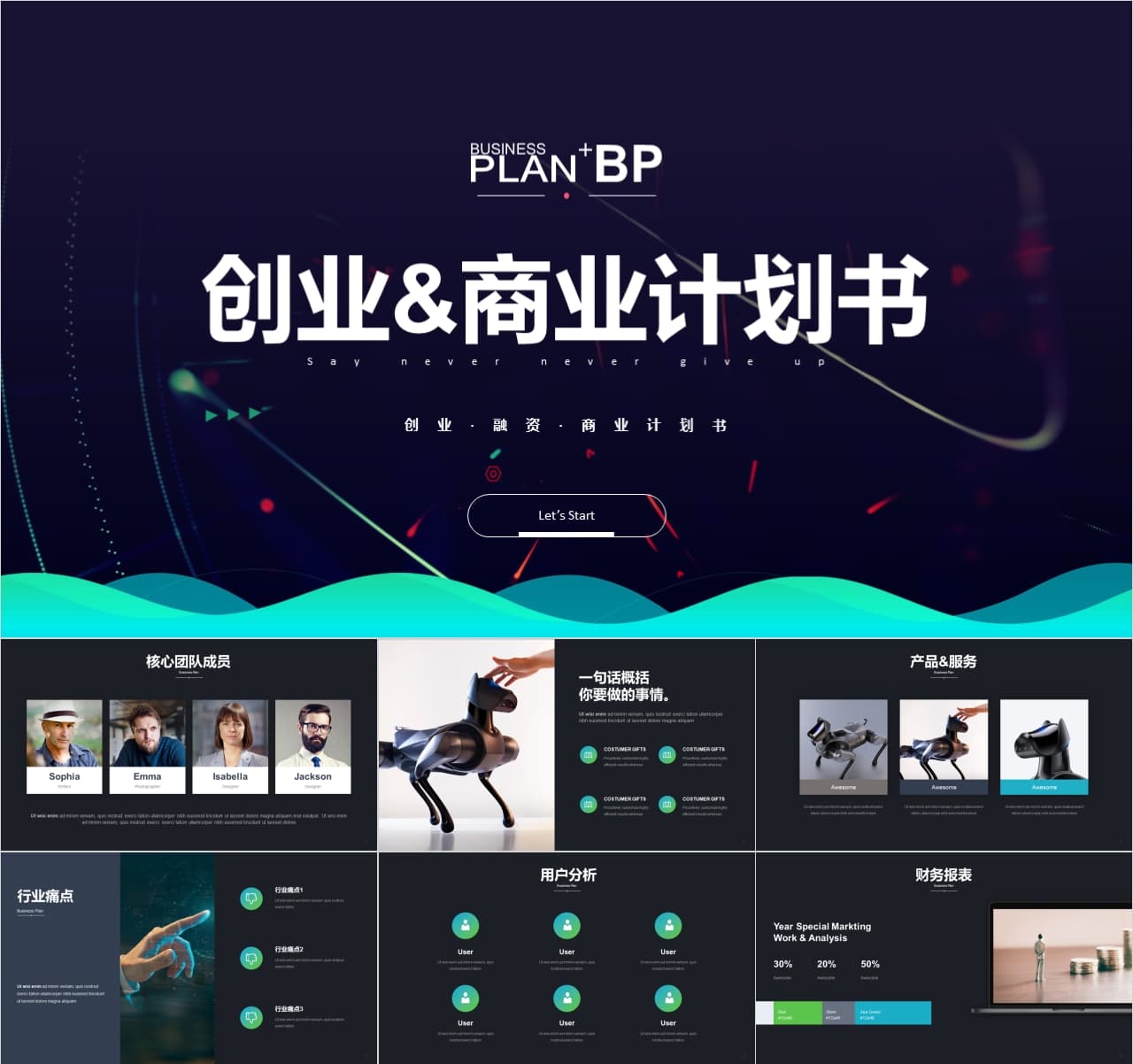 商业计划书代写