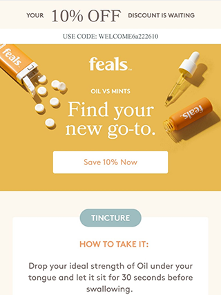 Email电子邮件营销EDM模板