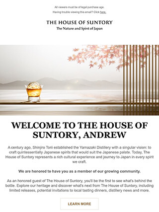 Email电子邮件营销EDM模板