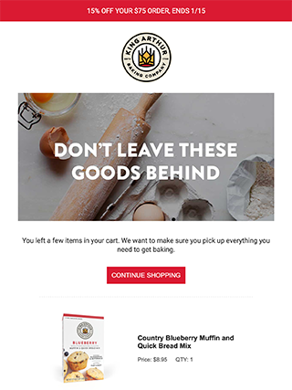 Email电子邮件营销EDM模板