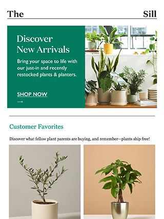 Email电子邮件营销EDM模板